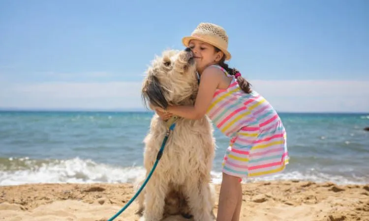 Fistral Beach - Best Dog Friendly Beaches