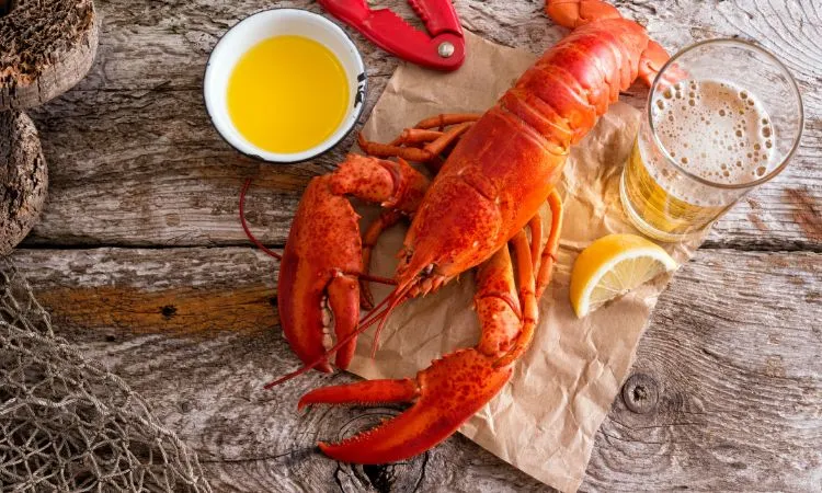 Lobster Dinner - Acadia National Park