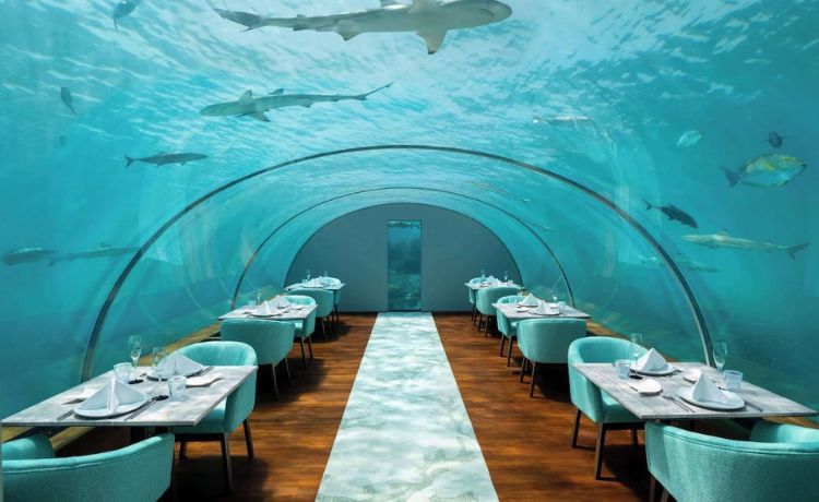 Conrad Maldives Rangali Island Famous for its underwater restaurant Ithaa