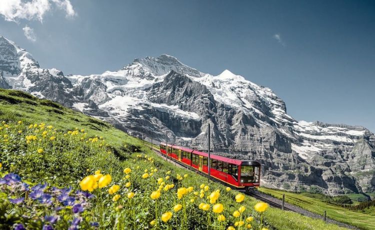 Swiss Alps From Interlaken Day Trip to Jungfraujoch by Bus and Train