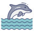 Dolphine